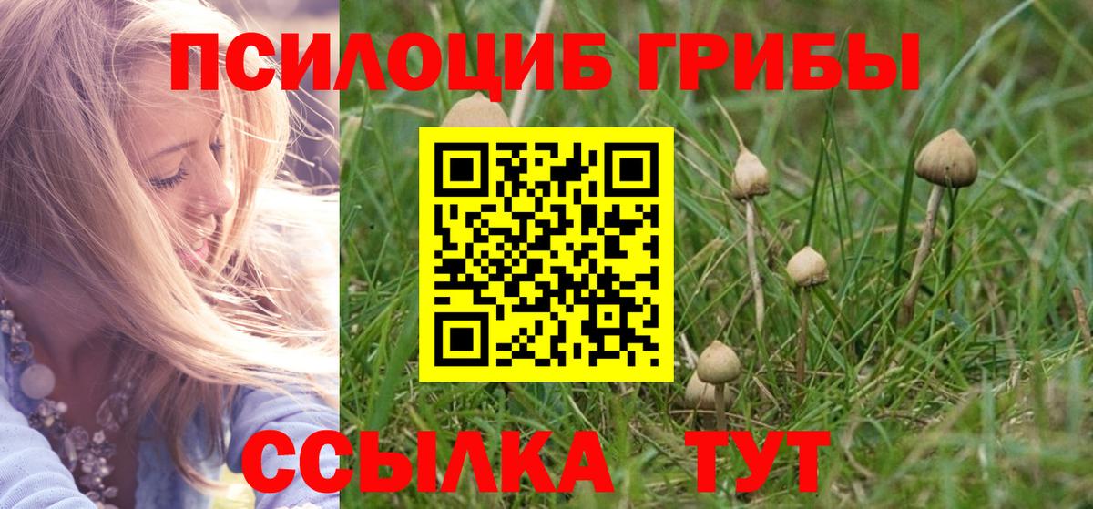 Псилоцибиновые грибы Cubensis Похвистнево
